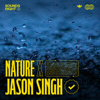 Thumbnail for the NATURE - Rainfall Symphonies link, provided by host site