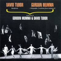 Thumbnail for the David Tudor - Rainforest 1969 link, provided by host site