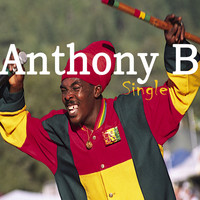 Thumbnail for the Anthony B - Raise (Remaster) link, provided by host site