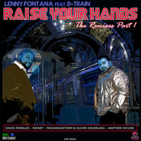 Thumbnail for the Lenny Fontana - Raise Your Hands - Ridney Remix link, provided by host site