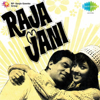 Thumbnail for the Laxmikant - Pyarelal - Raja Jani (Original Motion Picture Soundtrack) link, provided by host site