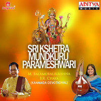 Image of B.R.Chaya linking to their artist page due to link from them being at the top of the main table on this page