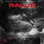 Thumbnail for the Ol' Skool - Ralje link, provided by host site