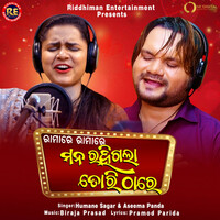 Thumbnail for the Aseema Panda - Ramare Ramare Mana Rahi Gala Tori Thare link, provided by host site
