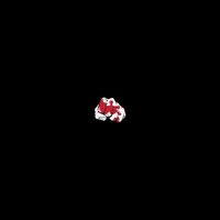 Image of Quiz linking to their artist page due to link from them being at the top of the main table on this page