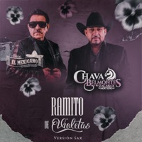 Thumbnail for the Mi Banda El Mexicano - Ramito de Violetas (Versión Sax) link, provided by host site