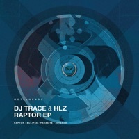 Thumbnail for the DJ Trace - Raptor link, provided by host site