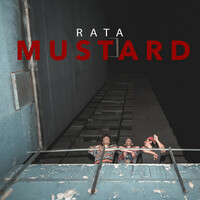 Image of Mustard linking to their artist page due to link from them being at the top of the main table on this page