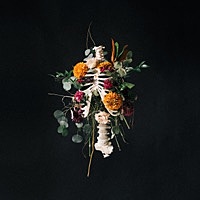Thumbnail for the Elevation Worship - RATTLE! link, provided by host site