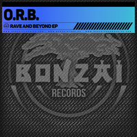 Thumbnail for the The Orb - Rave and Beyond link, provided by host site