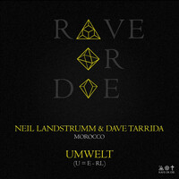Thumbnail for the Neil Landstrumm - Rave or Die 09 link, provided by host site