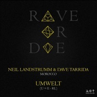 Thumbnail for the Neil Landstrumm - Rave or Die 09 link, provided by host site