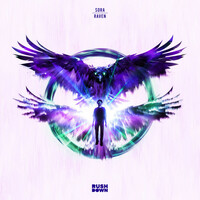 Thumbnail for the SoRA - Raven link, provided by host site
