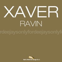 Image of Xaver linking to their artist page due to link from them being at the top of the main table on this page