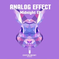 Thumbnail for the Analog Effect - Raw Leaves link, provided by host site