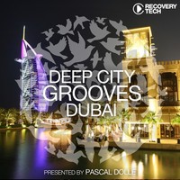 Thumbnail for the Pascal Dolle - Raw - Luca Lozano Remix link, provided by host site