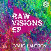 Thumbnail for the Craig Hamilton - Raw Visions link, provided by host site