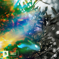 Thumbnail for the Liam Thomas - Rays link, provided by host site