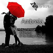Thumbnail for the Ambrela - Rays of Heat link, provided by host site