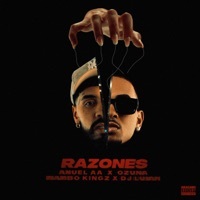 Thumbnail for the Ozuna - Razones link, provided by host site