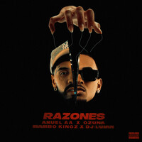 Thumbnail for the Ozuna - Razones link, provided by host site