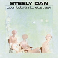 Thumbnail for the Steely Dan - Razor Boy link, provided by host site