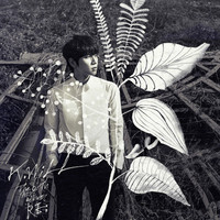 Image of K.Will linking to their artist page due to link from them being at the top of the main table on this page