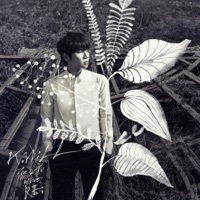 Thumbnail for the K.Will - [Re:] link, provided by host site