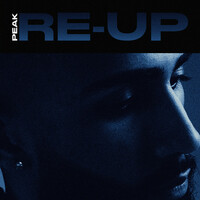 Thumbnail for the Peak - RE-UP link, provided by host site