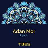 Thumbnail for the Adan Mor - Reach link, provided by host site