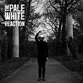 Thumbnail for the The Pale White - Reaction link, provided by host site