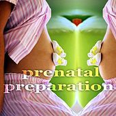 Thumbnail for the Vibrant - Reading Pentateuch (Kaysh Aerobic House Mix) link, provided by host site