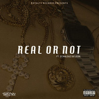 Thumbnail for the Theory - Real or Not link, provided by host site