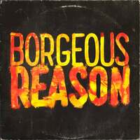 Thumbnail for the Borgeous - Reason link, provided by host site