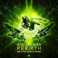 Thumbnail for the Ace Ventura - Rebirth (Spectra Sonics Remix) link, provided by host site