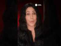 Thumbnail for the Cher - Recalls the end of her relationship with Sonny Bono #shorts link, provided by host site