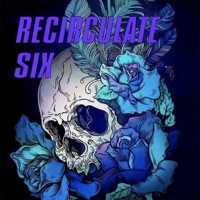 Thumbnail for the Circulation - Recirculate Six link, provided by host site