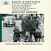 Thumbnail for the Julian Podger - Recitativo: Ein Adam Mag Sich Voller Schrecken (Tenor) link, provided by host site