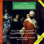 Thumbnail for the Patrizia Pace - Recitativo "Felice appien sarei..." link, provided by host site
