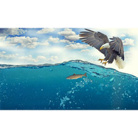 Thumbnail for the United States Marine Band - Recognition link, provided by host site
