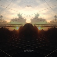 Thumbnail for the Synkro - Recognition link, provided by host site