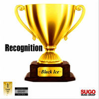 Thumbnail for the Black Ice - Recognition link, provided by host site