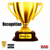 Thumbnail for the Black Ice - Recognition link, provided by host site