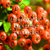 Thumbnail for the Heathous - Recognizing Hardship - Kaysh Electro House Mix link, provided by host site
