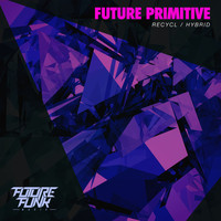 Thumbnail for the Future Primitive - Recycl / Hybrid link, provided by host site