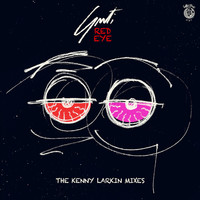 Thumbnail for the Guti - Red Eye (The Kenny Larkin Mixes) link, provided by host site