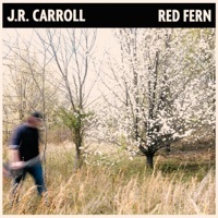Image of J.R. Carroll linking to their artist page due to link from them being at the top of the main table on this page