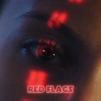 Thumbnail for the Gomey - Red Flags link, provided by host site