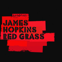 Thumbnail for the James Hopkins - Red Grass link, provided by host site