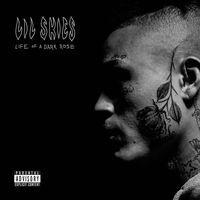 Thumbnail for the Lil Skies - Red Roses link, provided by host site